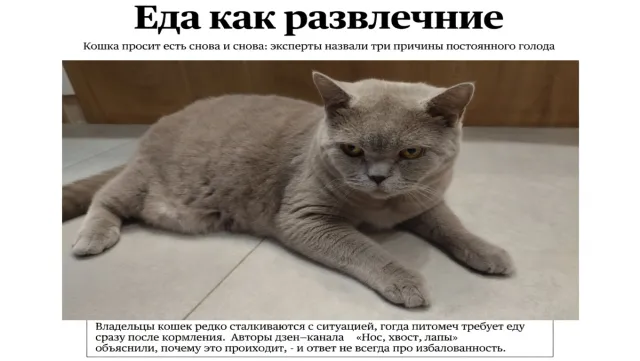 Еда как развлечение